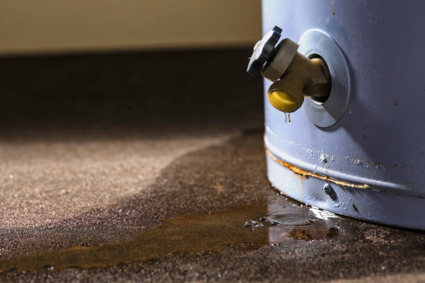 Best Basement water damage restoration  in Taylor, PA