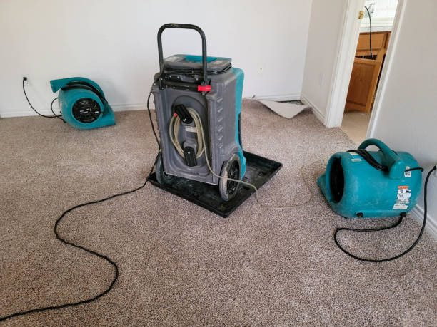 Best Residential water damage restoration  in Taylor, PA