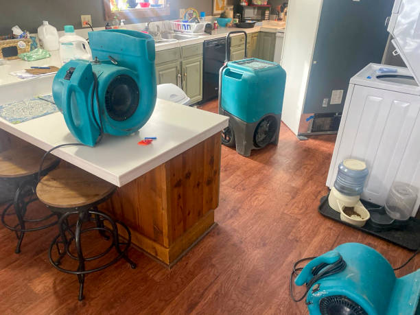 Best Professional water damage repair  in Taylor, PA