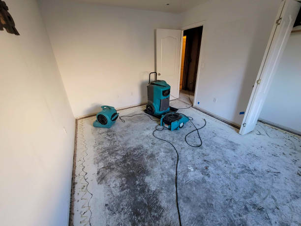 Best 24/7 water damage repair  in Taylor, PA