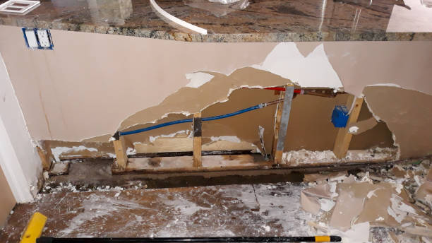 Best Basement water damage restoration  in Taylor, PA