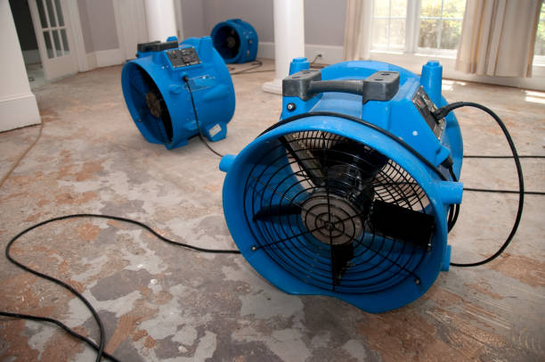 Best Water damage restoration near me  in Taylor, PA