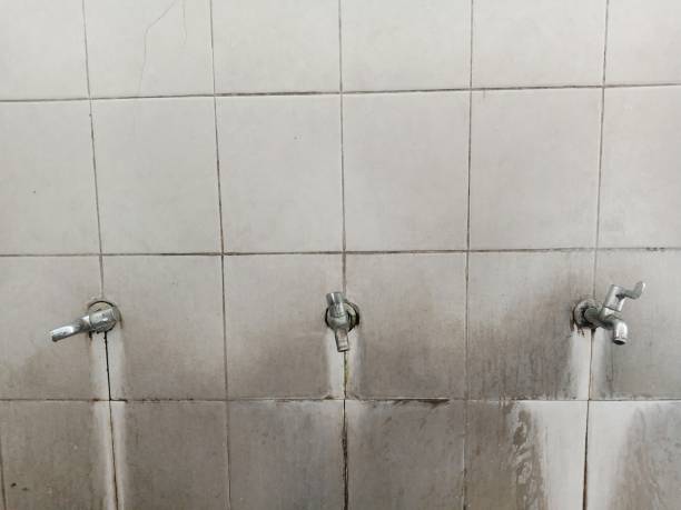 Best Residential water damage restoration  in Taylor, PA