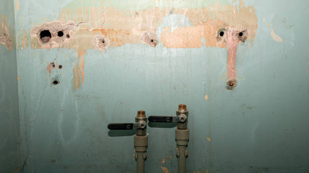 Best Mold removal after water damage  in Taylor, PA