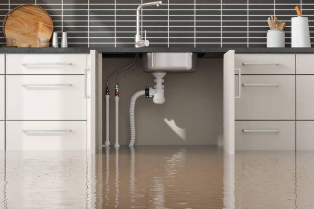 Best Fire Damage Restoration  in Taylor, PA